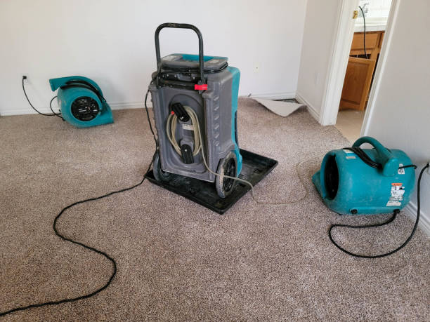 Best Flood damage cleanup  in Springfield, NJ