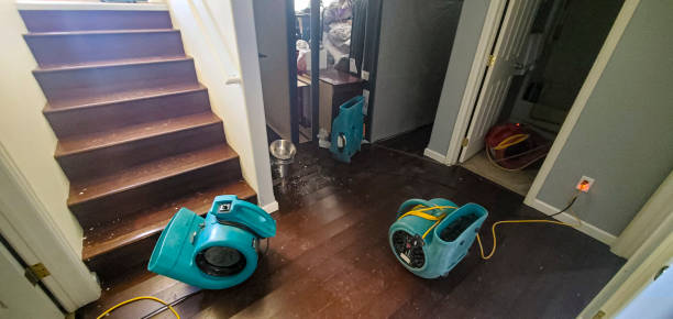 Best 24/7 water damage repair  in Springfield, NJ