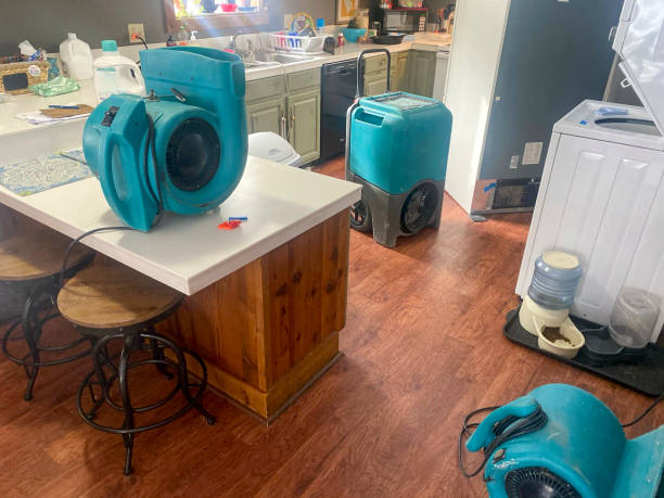 Best Commercial water damage restoration  in Springfield, NJ