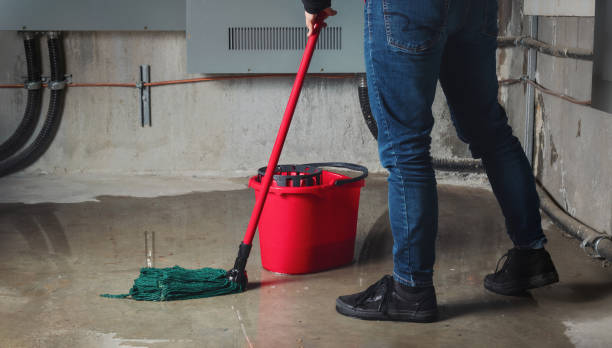 Best Flooded house restoration  in Springfield, NJ