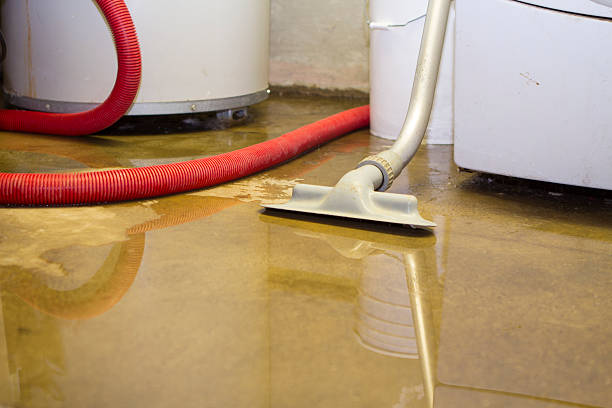 Best 24-hour water damage restoration  in Springfield, NJ