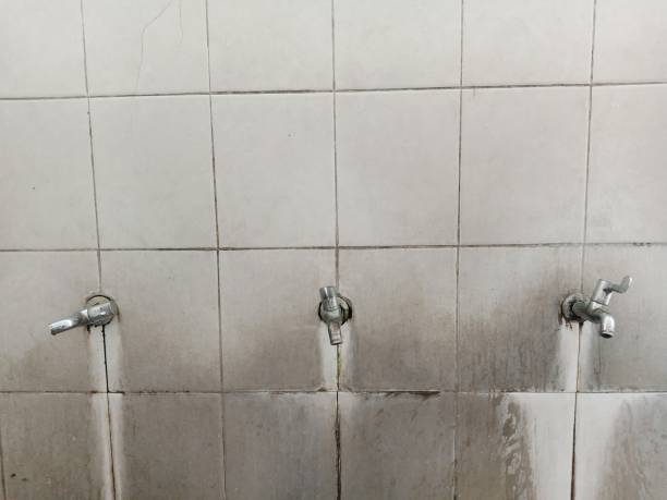 Best Water damage cleanup near me  in Springfield, NJ