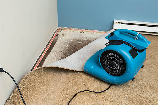 Best Water damage restoration cost  in Springfield, NJ